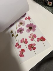 Recollections Floral Scrapbooking Stickers Set Multicolor