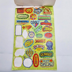 Learning Playground LP Motivational Stickers Over 300 Stickers Kids Boys Girls