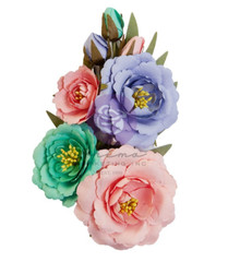 Prima Flowers THE PLANT DEPARTMENT Sunshine 9/pk 664350