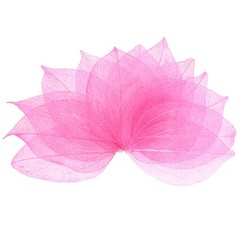 200-Pack Skeleton Leaves, Natural Rubber Leaves Vein[4-6cm, Light Pink]
