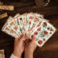 Dizdkizd Nature Botanical Stickers for Journaling, Ephemera Sticker Book, Transl