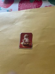 Vintage 1980s Puppy Kitten Sticker