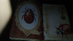 Ladybug Junk Journal Scrapbook Usa Seller