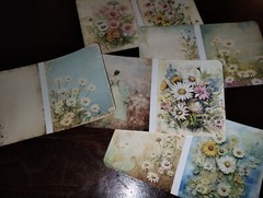 Daisy Pictures 10 PCs Junk Journals Scrapbook Usa