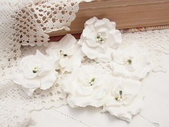IDYLIC 6 Pack WHITE with Centre – PAPER – 50-55mm Manor House ConB