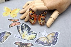 yellow butterfly sticker | yellow black butterfly beautiful themed PET