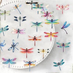 50 Pcs Dragonfly Decorative Stickers for Water Bottle Laptop Journals Luggage