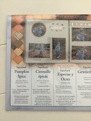 Creative Memories Pumpkin Spice Photo Mounting Paper 6 colors/12 sheets NEW