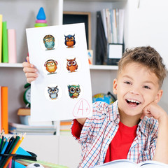 500 Pcs Colourful Owl Roll Stickers for Kids, Teachers, and Goodie Bags