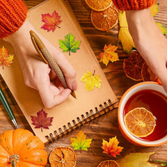 400 Pcs Fall Maple Leaf Stickers – 8 Colors Autumn Leaves Shape Decals