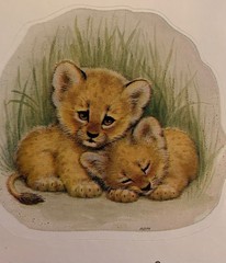 Vintage Ruth Morehead Current Cute Animal Sticker Sheets-lot of 2