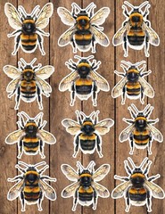Honey Bee Die Cut Vinyl Stickers Set Scrapbooking Laptop Waterbottle