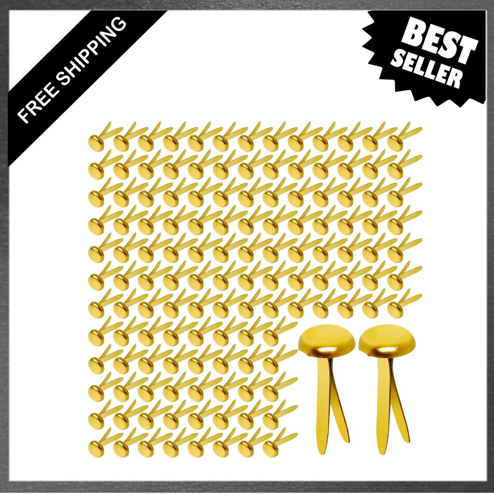 Paper Brass Fasteners 3/4-Inch Metal Brads for Crafts Scrapbooking Cardmaking