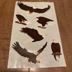 Mrs Grossman EAGLES – 1 Sheet of VINTAGE Year 2001 EAGLES