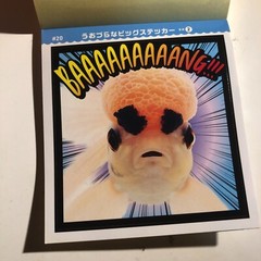 PRE-SALE Uozura Fish Heads Stickers book 274 Japanese stickers