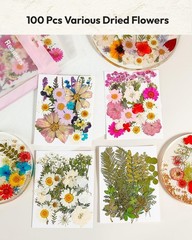 Dried Flowers, Resiners 100Pcs Pressed Flowers for Craft Blossom 100pcs