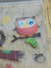 Harvest Adhesive Stickers Glitter Googley Eyes