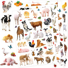 Wild Animals Stickers 750 Count Jungle Safari Woodland Zoo Creatures