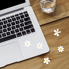 Set of 70, Little Daisies Stickers, Cute Flower Stickers, Laptop Stickers, Water