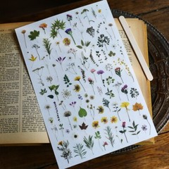 Rub-on stickers | 3 sheets watercolor green leaf botanical flower floral leaves