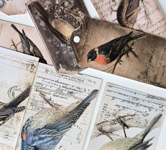 Vintage Bird Ephemera Tags Junk Journals