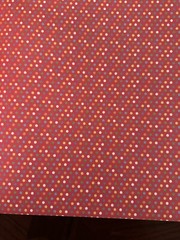 40 Sheets Scrapbook Card Stock Paper Foil Embossed Die Cuts Kids School Apple