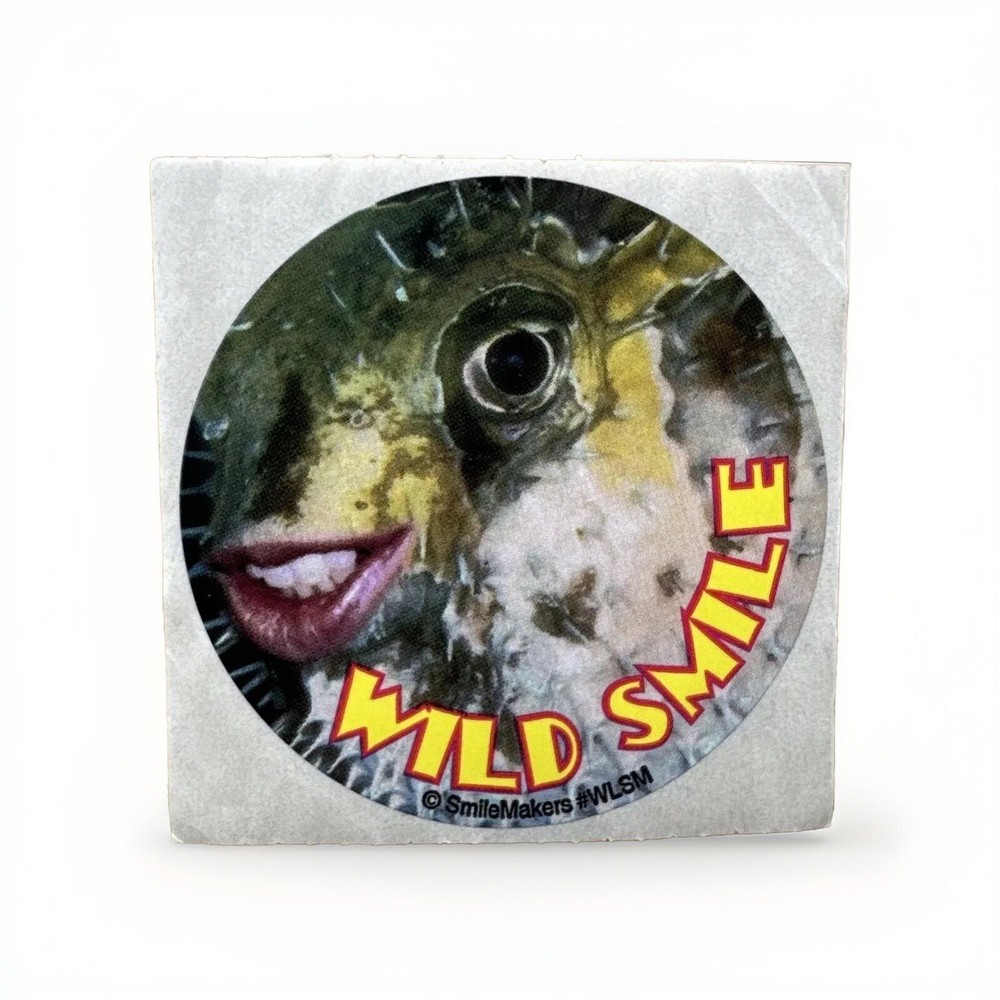 VINTAGE SmileMakers FISH EYE SMILE GRINNING DECAL STICKER VINYL CIRCLE 2.5″x2.5″