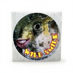 VINTAGE SmileMakers FISH EYE SMILE GRINNING DECAL STICKER VINYL CIRCLE 2.5″x2.5″