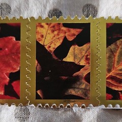 Gold Frame Autumn Leaves Sticker Strip, Gold Black Red Orange Yellow Quotes
