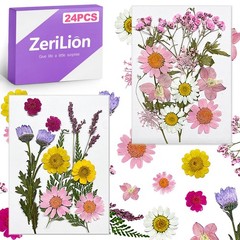 24 Pcs Real Pressed Flowers Set, Colorful Assorted Natural Botanicals for DIY…