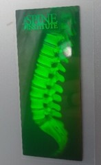 VTG Polaroid 3-D 90’s Holograms Prototypes – HUMAN SPINE / INSTITUTE 4.5 X 2″