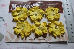 WILD ROSE – 6 Paper Flowers YELLOW – 3-4cm across Penny Lane Petaloo I