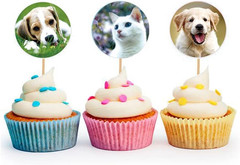Dog and Cat Stickers for Kids Teachers,1000 Pcs Dog Cat Design Stickers for Kids