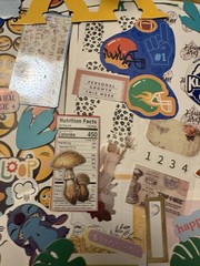 150+ Pieces Junk Journal LOT Scrapbooking Stickers Cutout Clippings Ribbon BONUS