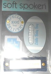 Baby Boy Son Special Delivery Sweet Bundled up Grandson Family MAMBI Stickers