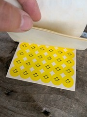 Standard Publishing Stick N Sniff lemon-scented stickers Smiley Face