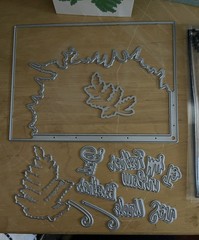 2) Simply Defined Metal dies and stamps: Rainbow, Gate, Window and Ferny frames