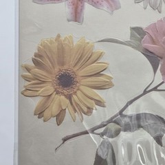 K&Company Embossed Stickers White Flowers(2) Pastel Flowers(1) Scrapbooking