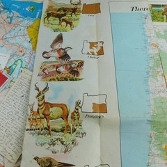 Ephemera Junk Journal Scrapbooking Lot of 50 + Pieces, Barry Coe Vintage Photo !