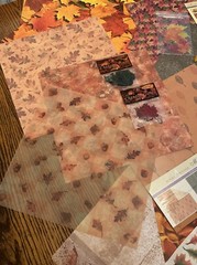 Mixed Lot of AUTUMN FALL Scrapbook Paper, Stickers And Ephemera