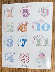 Timeless Treasures By NRN Designs Baby 1-12 Months 1 Year Old Scrapbook Stickers