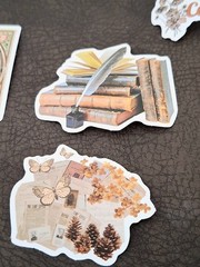 100 Pc Vintage Retro Cottagecore Stickers Colorful New