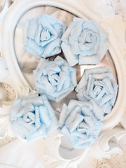 SPECIAL Baby SUBLIME BABY BLUE 6 Pk Flowers PAPER 45-50mm Manor House ConB
