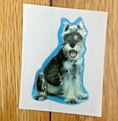 Vintage 80s Sticker Lot: Restored Adorable Puppy Kitten Stickers (READ)