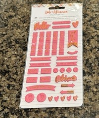 Amy Tangerine LATE AFTERNOON Embossed Puffy Stickers 39 Pieces Pink Planner