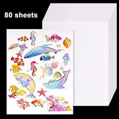 80-Piece Sticker Collecting Album with Reusable Double-Sided Pages, 10.6″x8.3