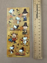 Peanuts Snoopy Fall Autumn Thanksgiving Stickers Sticker Sheet Friends Schulz