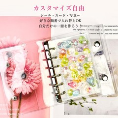 Hueapion Transparent Sticker Book, Girl, Peelable, A7 Size, Mini 6-Ring Sticker