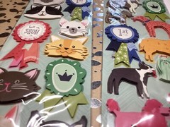 Anna Griffin Best In Show Card Stock and Stickers