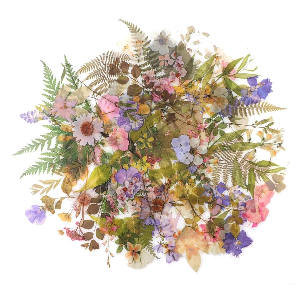 160pcs Pre-Cut Scrapbooks Natural Stickers, Floral and Plant Sticker for DIY …